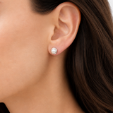 Freshwater Pearl Stud Earrings