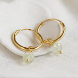 Prehnite Gold Hoop Earrings